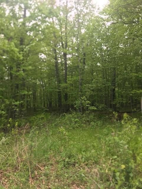 View of Land at TBD Lot 10 Block 3, Isle MN 56342, Isle - Mike Wilen | Minnesota Team Real Estate