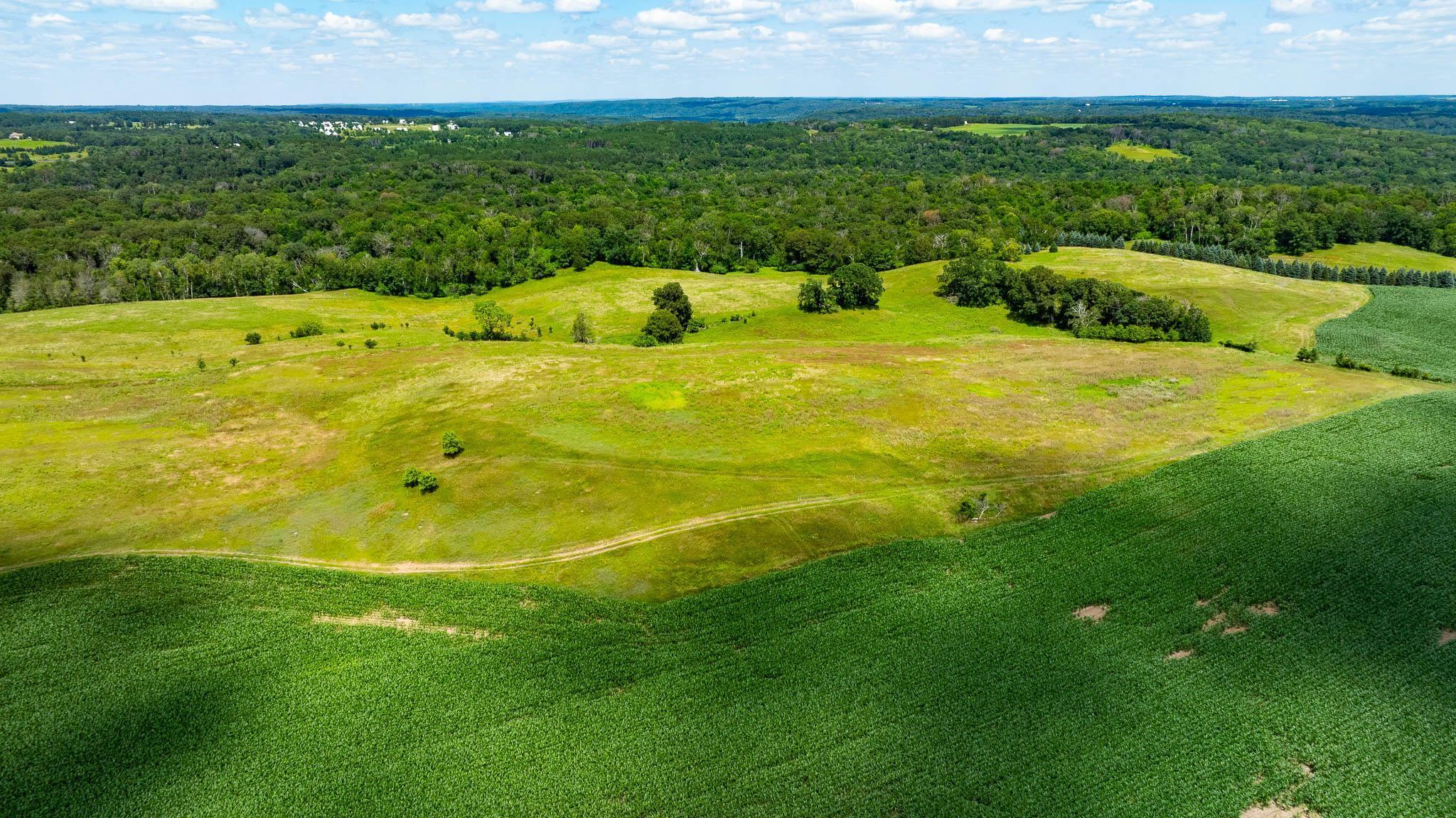 View of Land at 15055 Paul Avenue, Marine On Saint Croix MN 55047, Marine On Saint Croix - Mike Wilen | Minnesota Team Real Estate