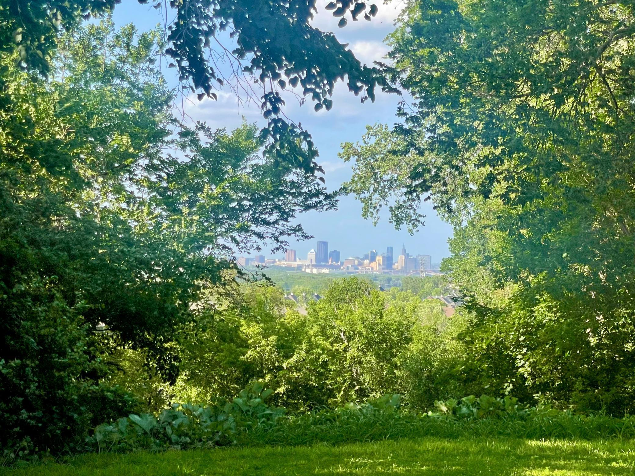 View of Land at 1680 Lexington Avenue, Mendota Heights MN 55118, Mendota Heights - Mike Wilen | Minnesota Team Real Estate