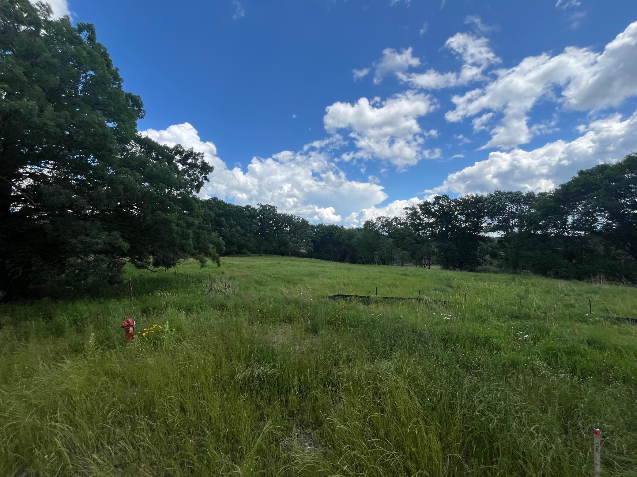 View of Land at 14 Black Lake Road, North Oaks MN 55127, North Oaks - Mike Wilen | Minnesota Team Real Estate
