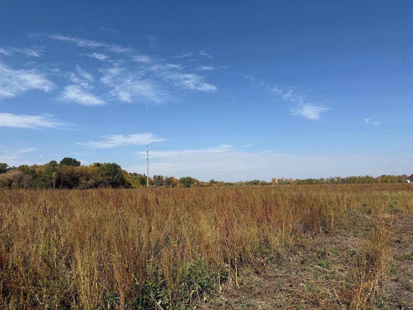 View of Land at 24x1 Holy Name Drive, Medina MN 55340, Medina (3 of 21) - Mike Wilen | Minnesota Team Real Estate