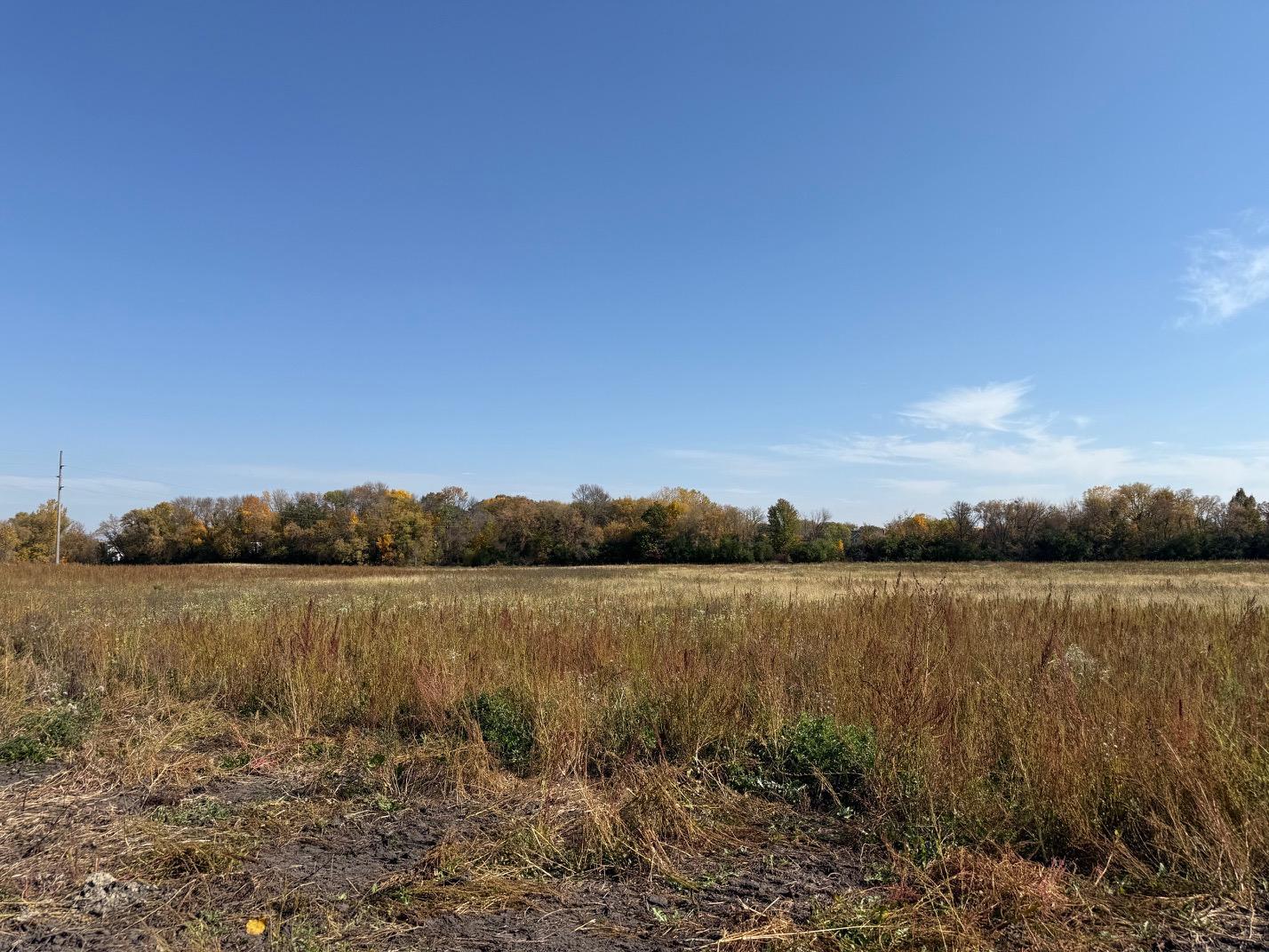 View of Residential Lot at 24x1 Holy Name Drive, Medina - Mike Wilen | Minnesota Team Real Estate