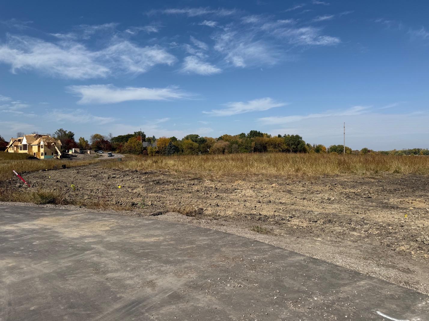 View of Land at 24x1 Holy Name Drive, Medina MN 55340, Medina (5 of 21) - Mike Wilen | Minnesota Team Real Estate