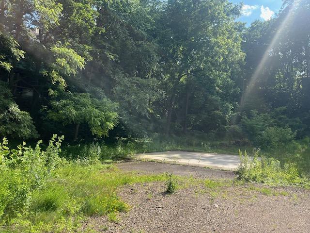 View of Land at 211 Olive Street, Stillwater MN 55082, Stillwater (7 of 8) - Mike Wilen | Minnesota Team Real Estate
