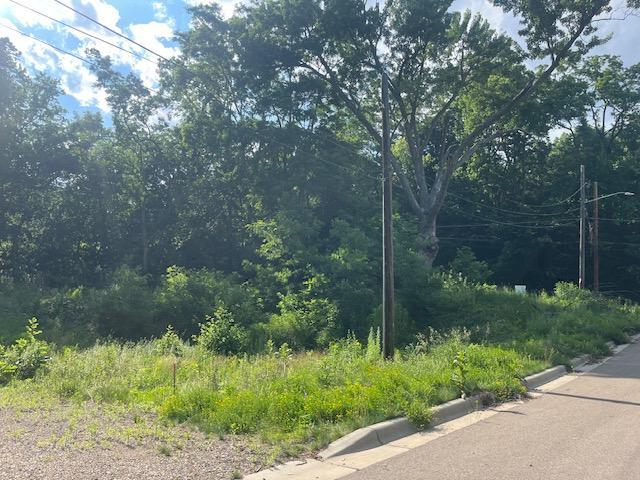 View of Land at 211 Olive Street, Stillwater MN 55082, Stillwater (6 of 8) - Mike Wilen | Minnesota Team Real Estate