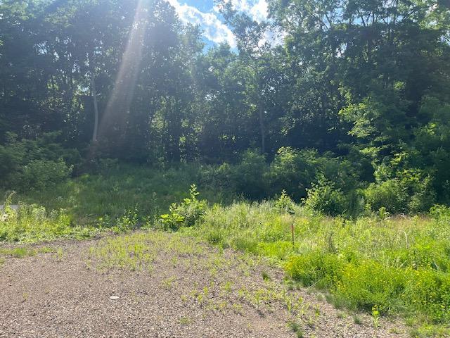View of Land at 211 Olive Street, Stillwater MN 55082, Stillwater (5 of 8) - Mike Wilen | Minnesota Team Real Estate