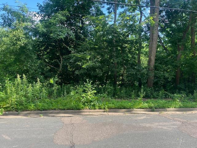 View of Land at 308 4th Street, Stillwater MN 55082, Stillwater - Mike Wilen | Minnesota Team Real Estate