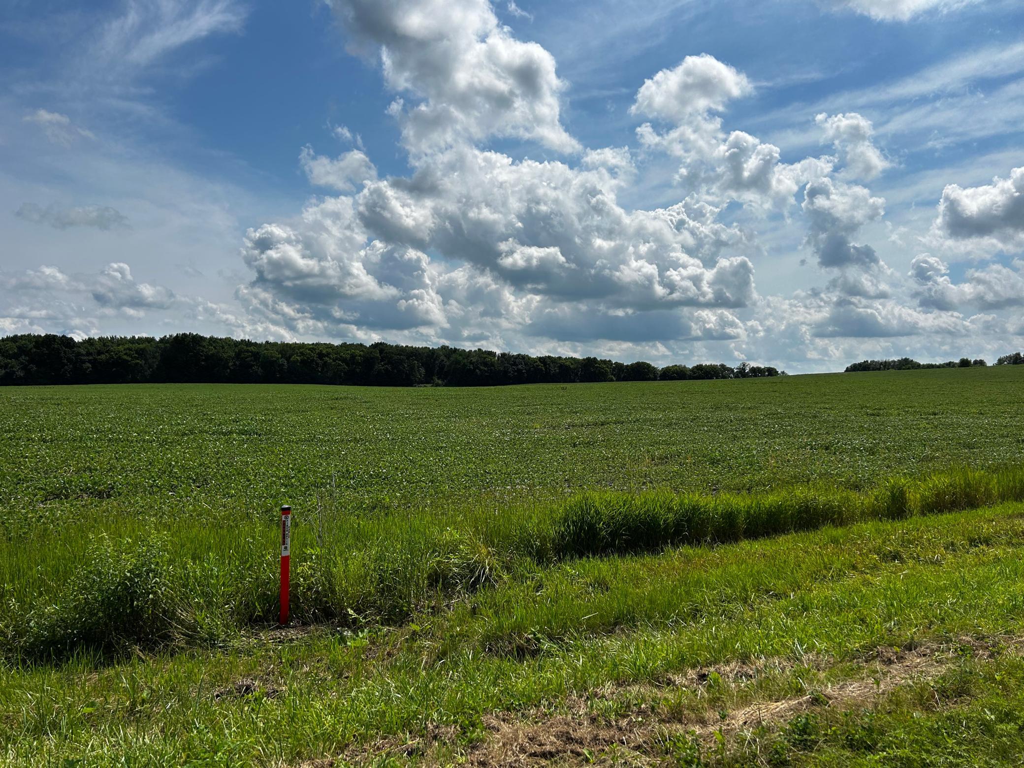 View of Land at XX TBD Mellgren Lane, Chaska MN 55318, Chaska (7 of 10) - Mike Wilen | Minnesota Team Real Estate