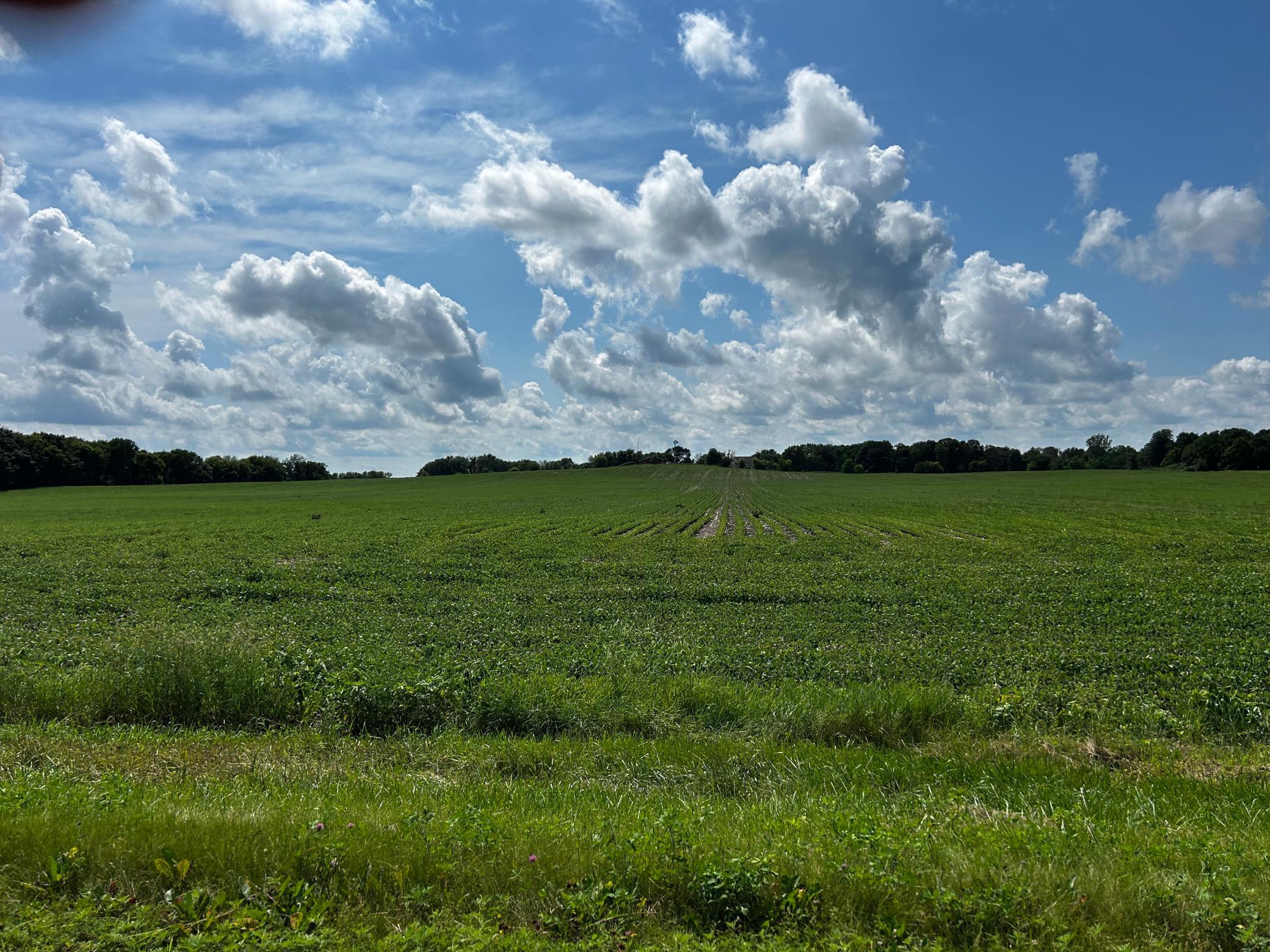 View of Land at XX TBD Mellgren Lane, Chaska MN 55318, Chaska (2 of 10) - Mike Wilen | Minnesota Team Real Estate