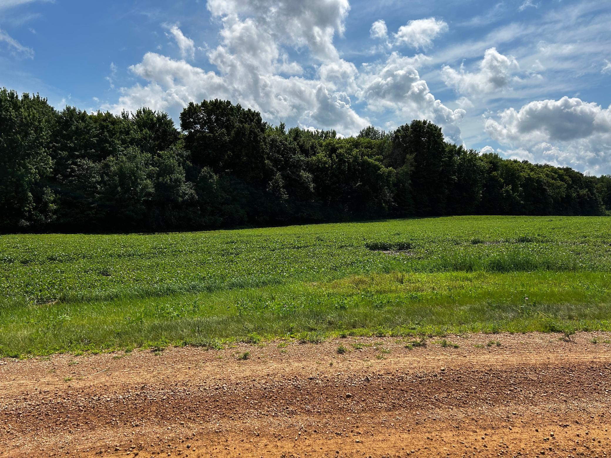 View of Land at XX TBD Mellgren Lane, Chaska MN 55318, Chaska - Mike Wilen | Minnesota Team Real Estate
