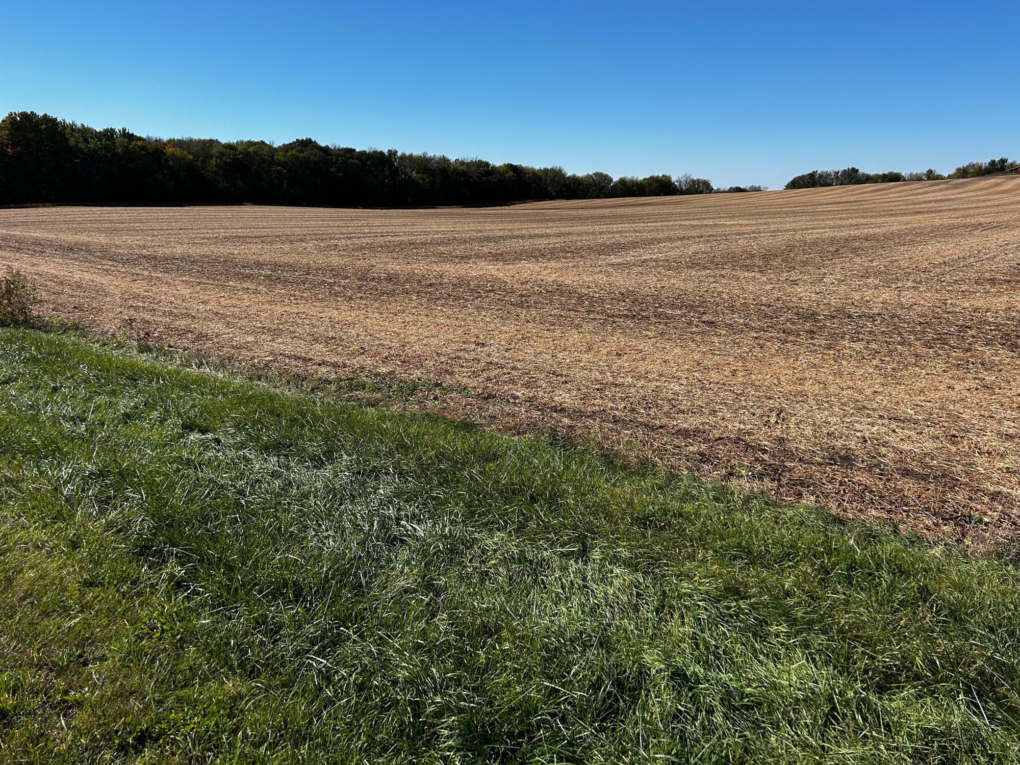 View of Land at XX TBD Mellgren Lane, Chaska MN 55318, Chaska (9 of 10) - Mike Wilen | Minnesota Team Real Estate