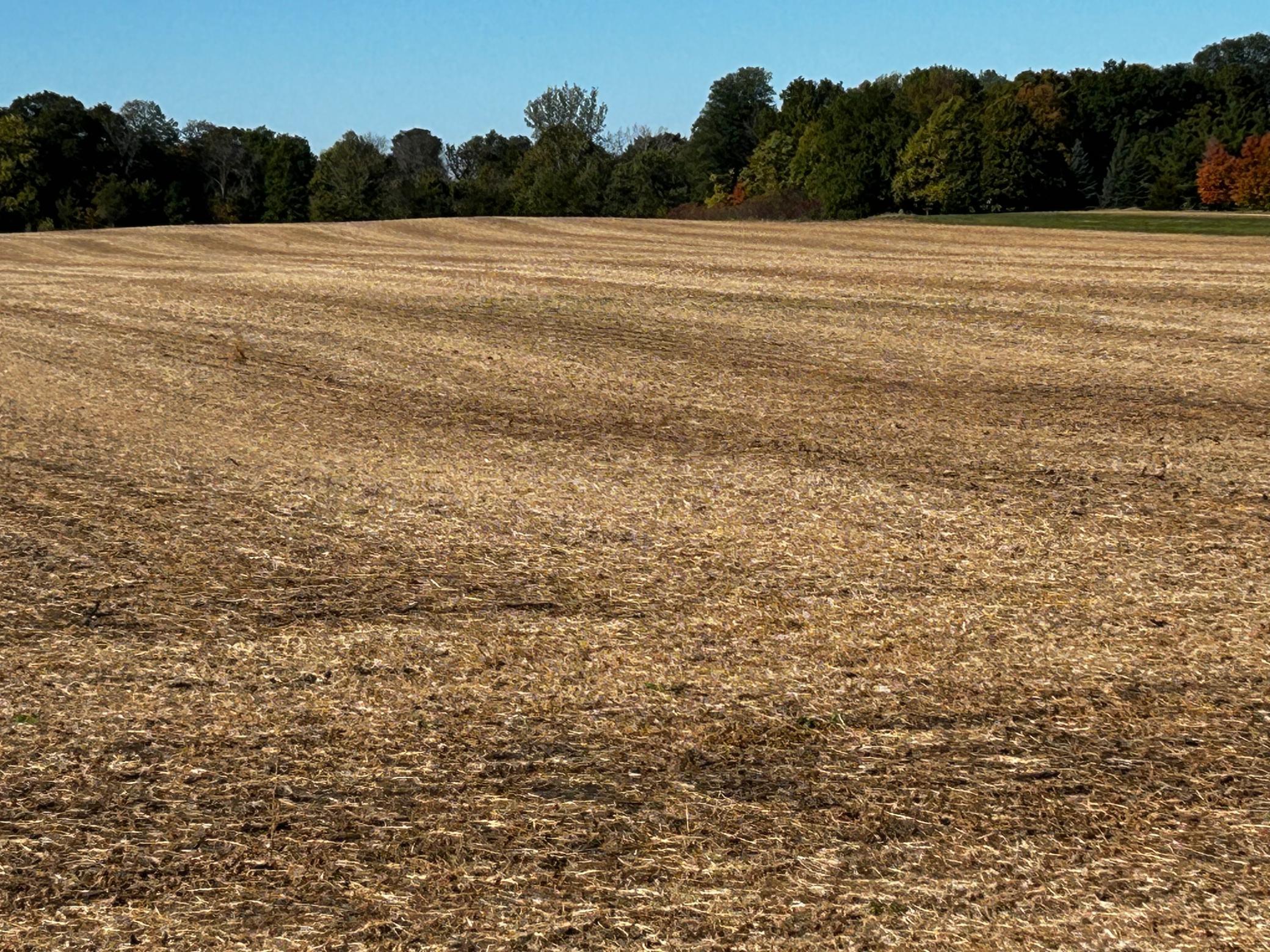 View of Land at XX TBD Mellgren Lane, Chaska MN 55318, Chaska (8 of 10) - Mike Wilen | Minnesota Team Real Estate