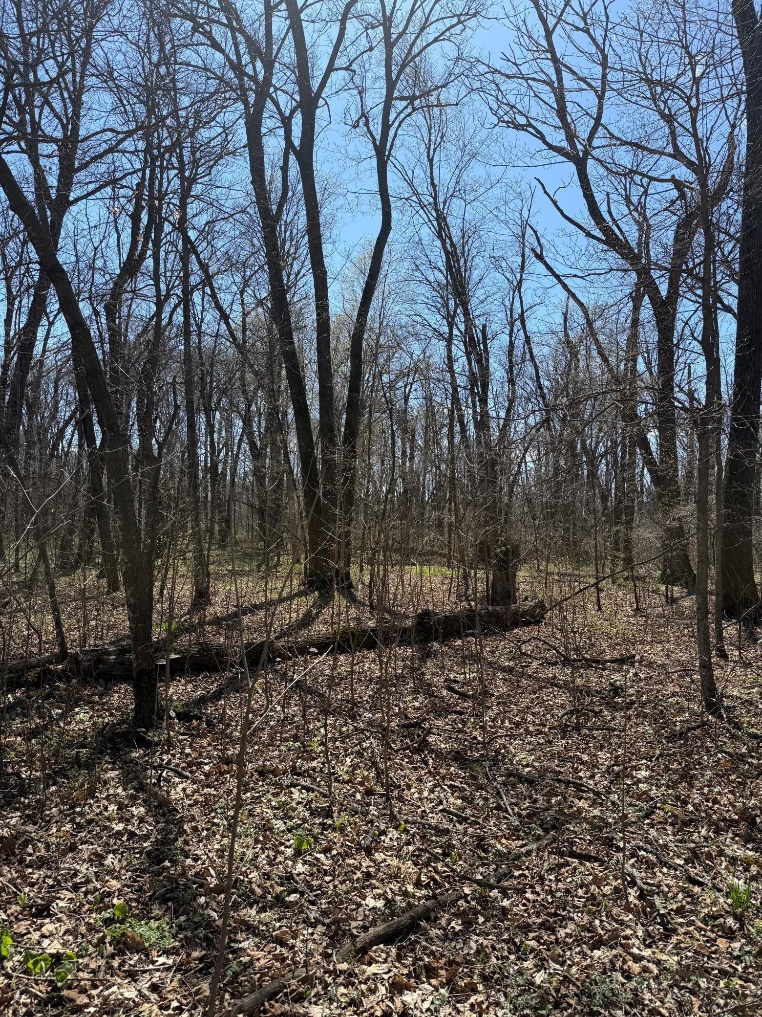 View of Land at TBD 306th Street, Henderson MN 56044, Henderson (6 of 12) - Mike Wilen | Minnesota Team Real Estate