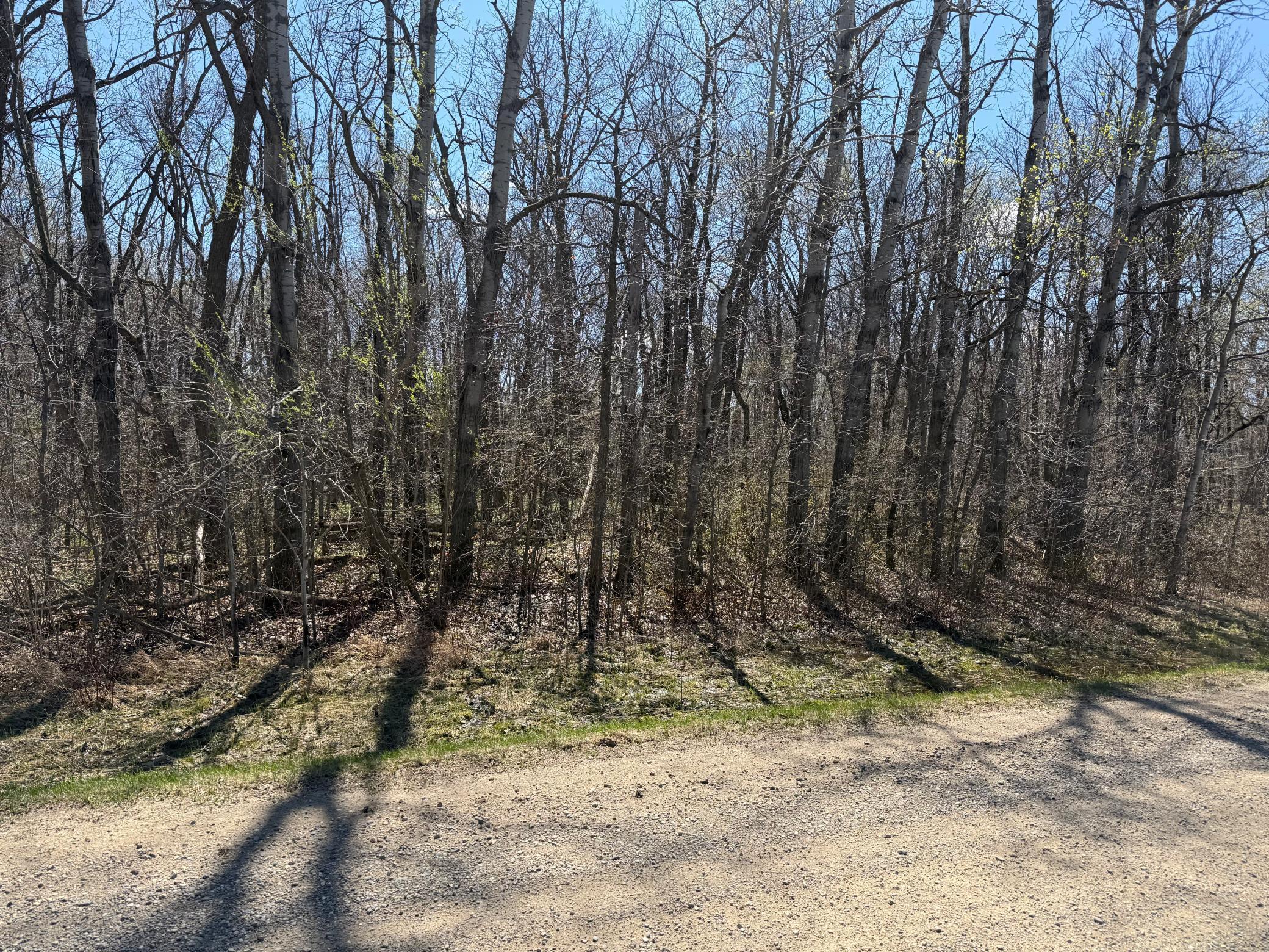 View of Land at TBD 306th Street, Henderson MN 56044, Henderson (4 of 12) - Mike Wilen | Minnesota Team Real Estate