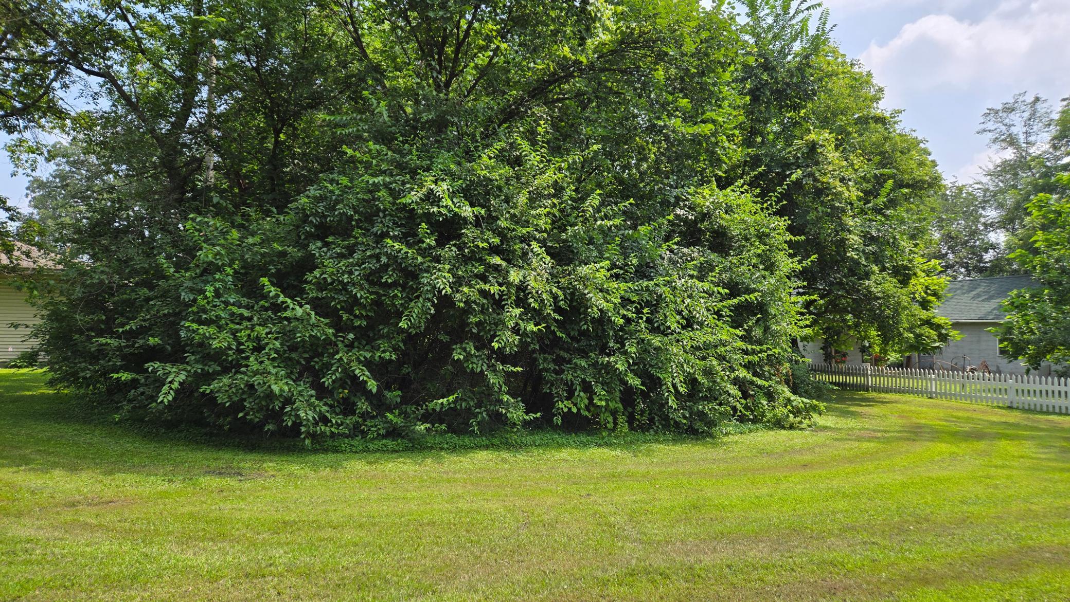 View of Land at TBD Bluff Street, Clearwater MN 55320, Clearwater - Mike Wilen | Minnesota Team Real Estate