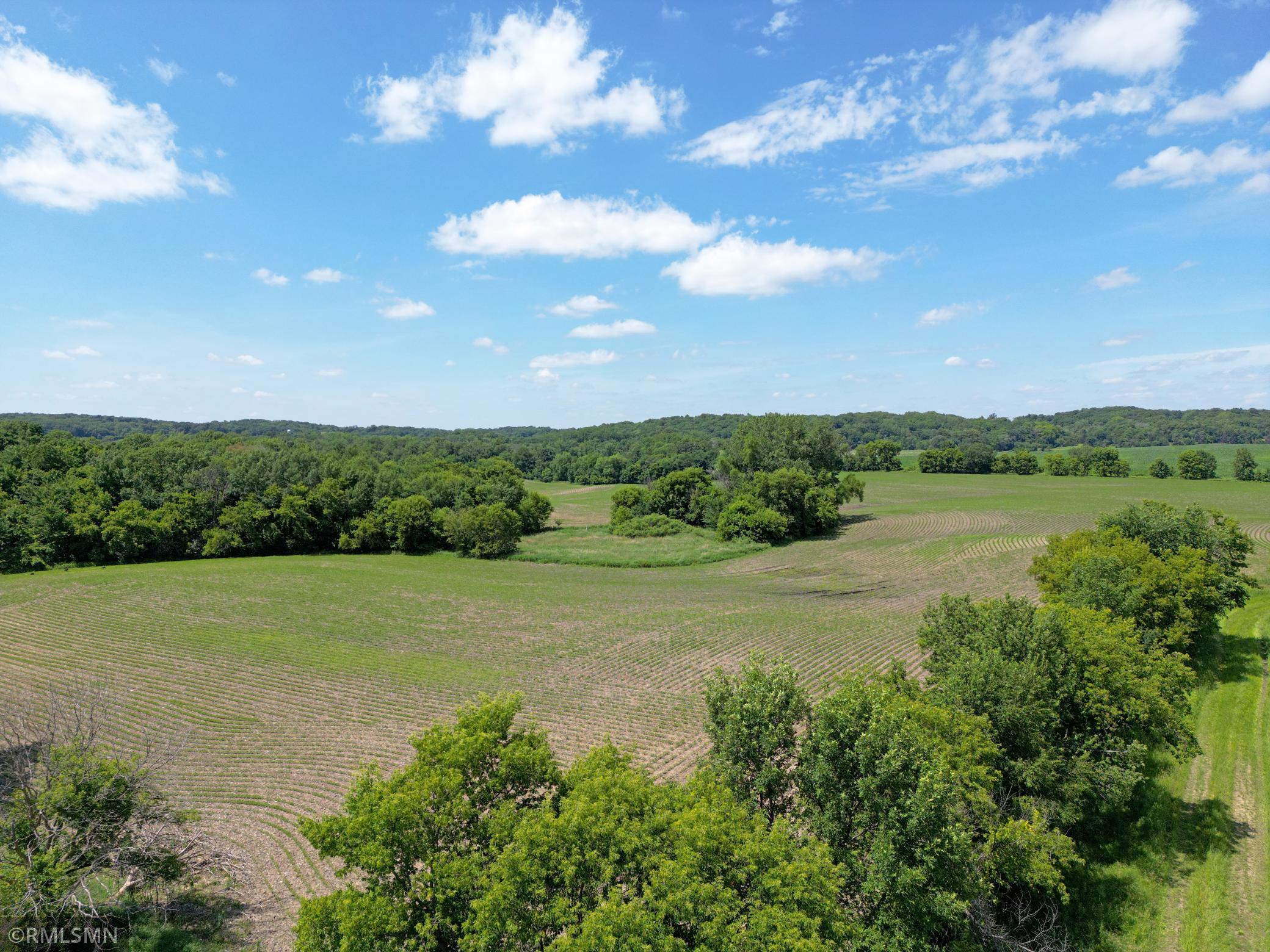 View of Land at TBD Peloquin Avenue, Annandale MN 55302, Annandale - Mike Wilen | Minnesota Team Real Estate