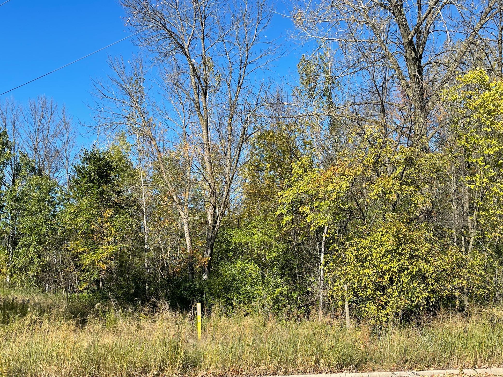View of Land at 580 1st Street, Milaca MN 56353, Milaca (2 of 2) - Mike Wilen | Minnesota Team Real Estate