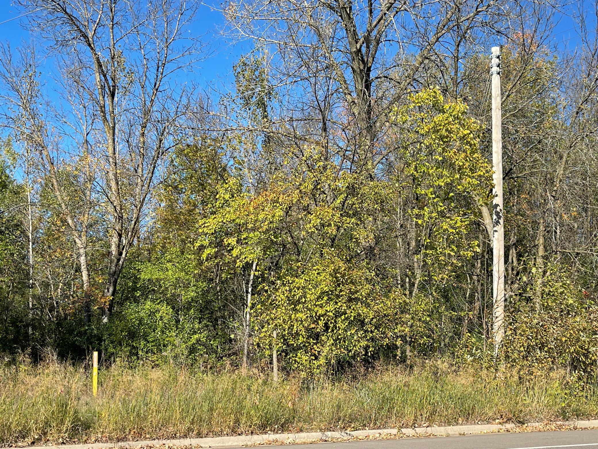 View of Land at 580 1st Street, Milaca MN 56353, Milaca - Mike Wilen | Minnesota Team Real Estate