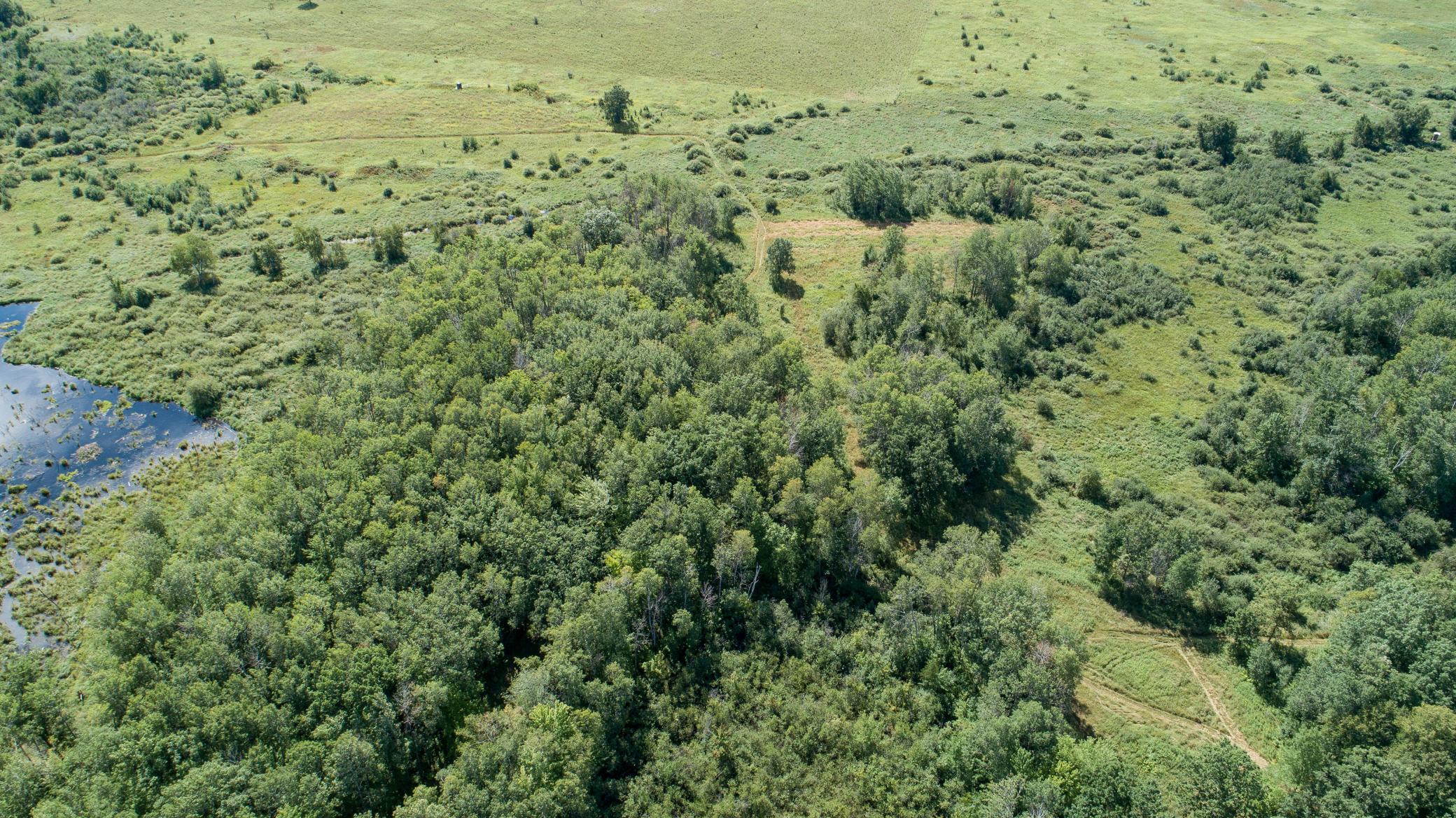 View of Land at TBD 310th Avenue, Brook Park MN 55007, Brook Park (41 of 72) - Mike Wilen | Minnesota Team Real Estate