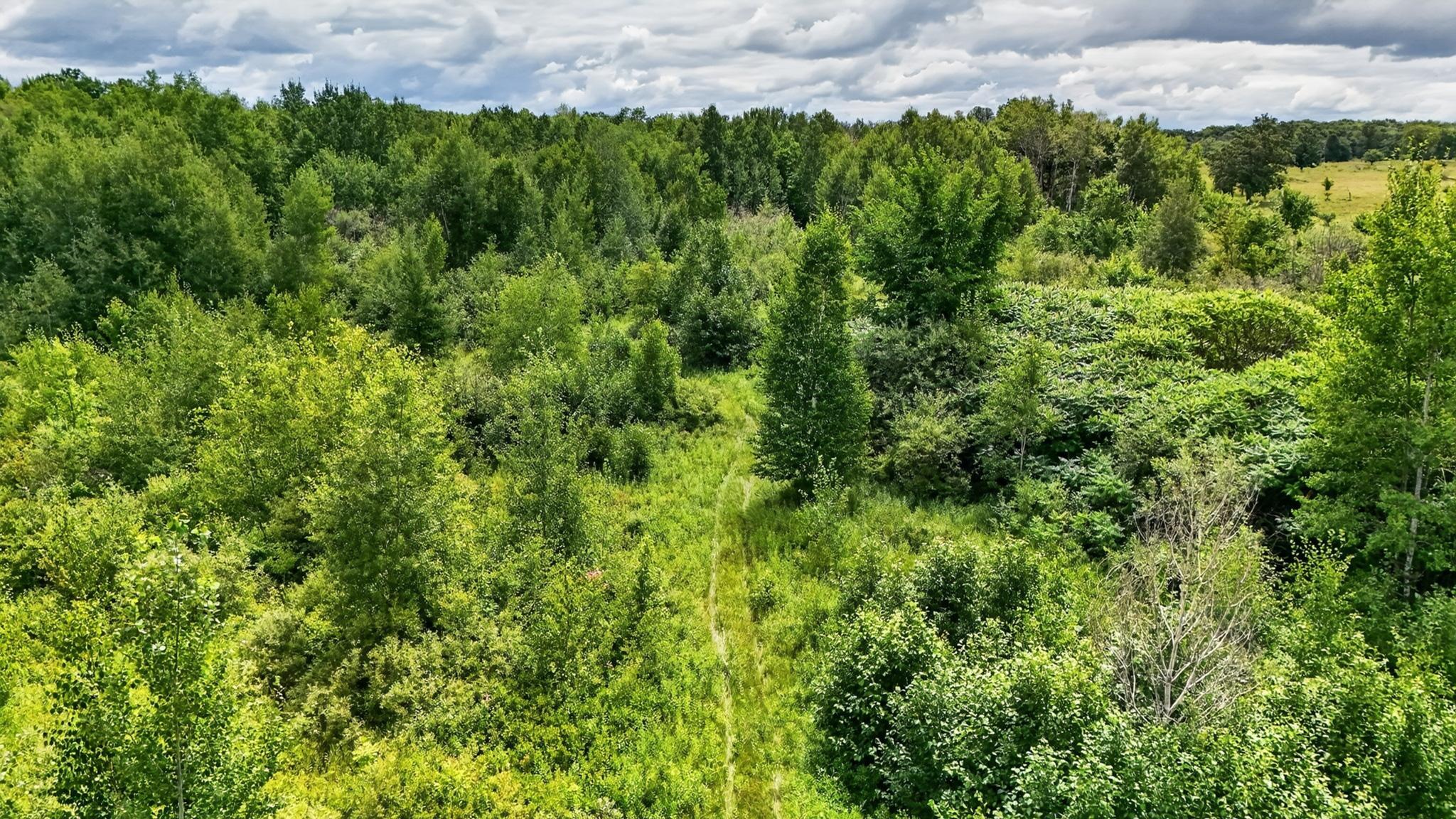View of Land at TBD 310th Avenue, Brook Park MN 55007, Brook Park (46 of 72) - Mike Wilen | Minnesota Team Real Estate