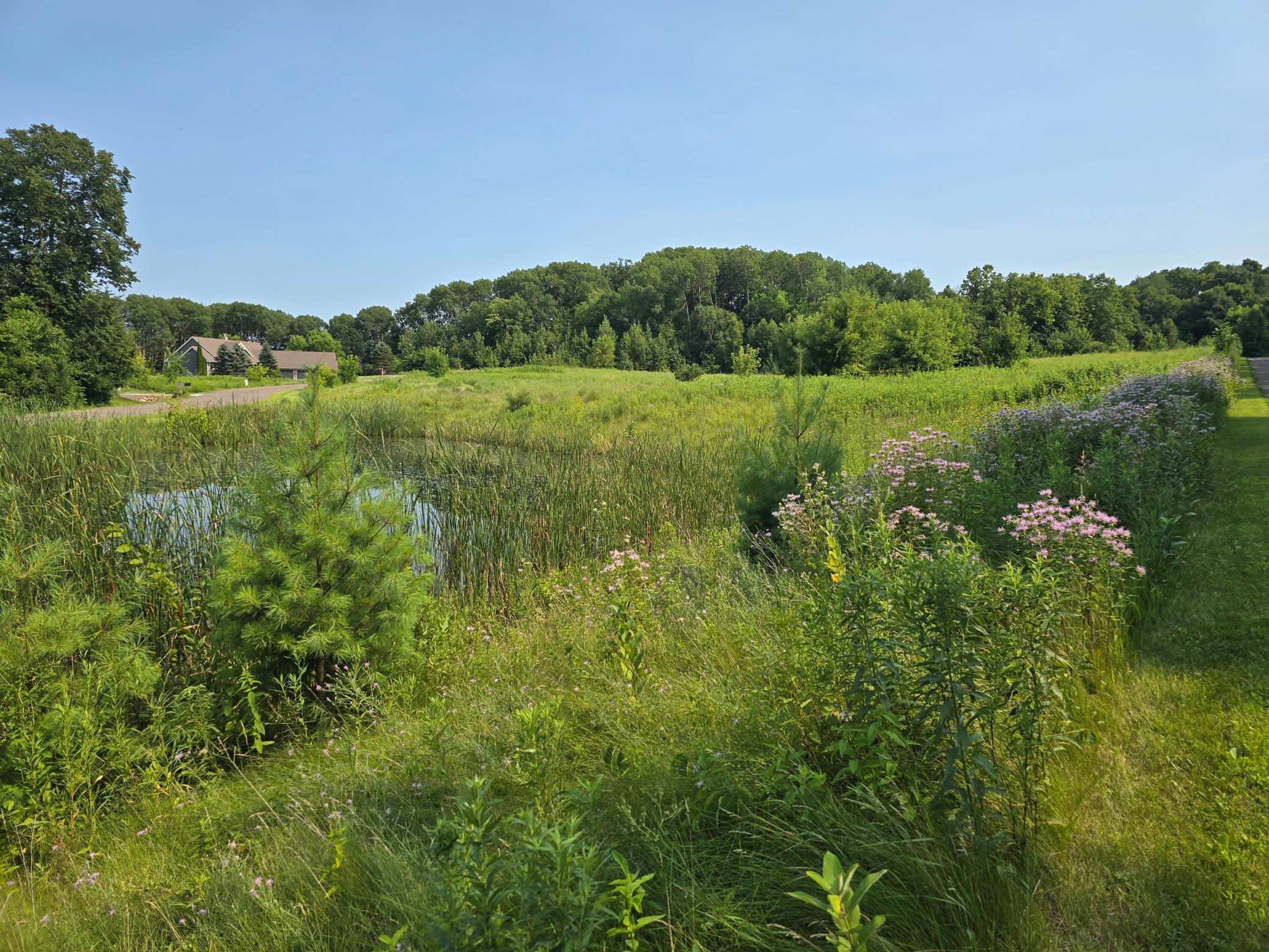 View of Land at xxxxx 244th Road, Scandia MN 55073, Scandia - Mike Wilen | Minnesota Team Real Estate