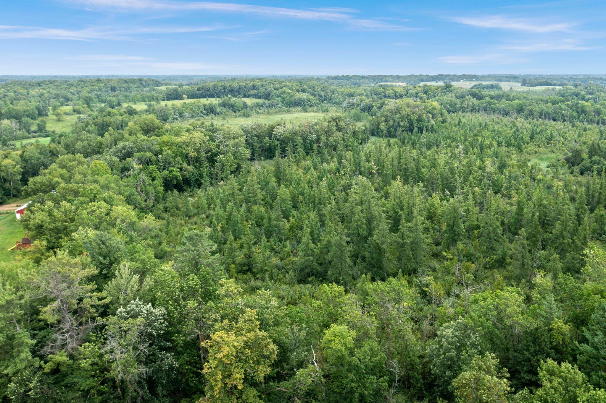 View of Land at TBD Basswood Road, Stanchfield MN 55080, Stanchfield (15 of 20) - Mike Wilen | Minnesota Team Real Estate