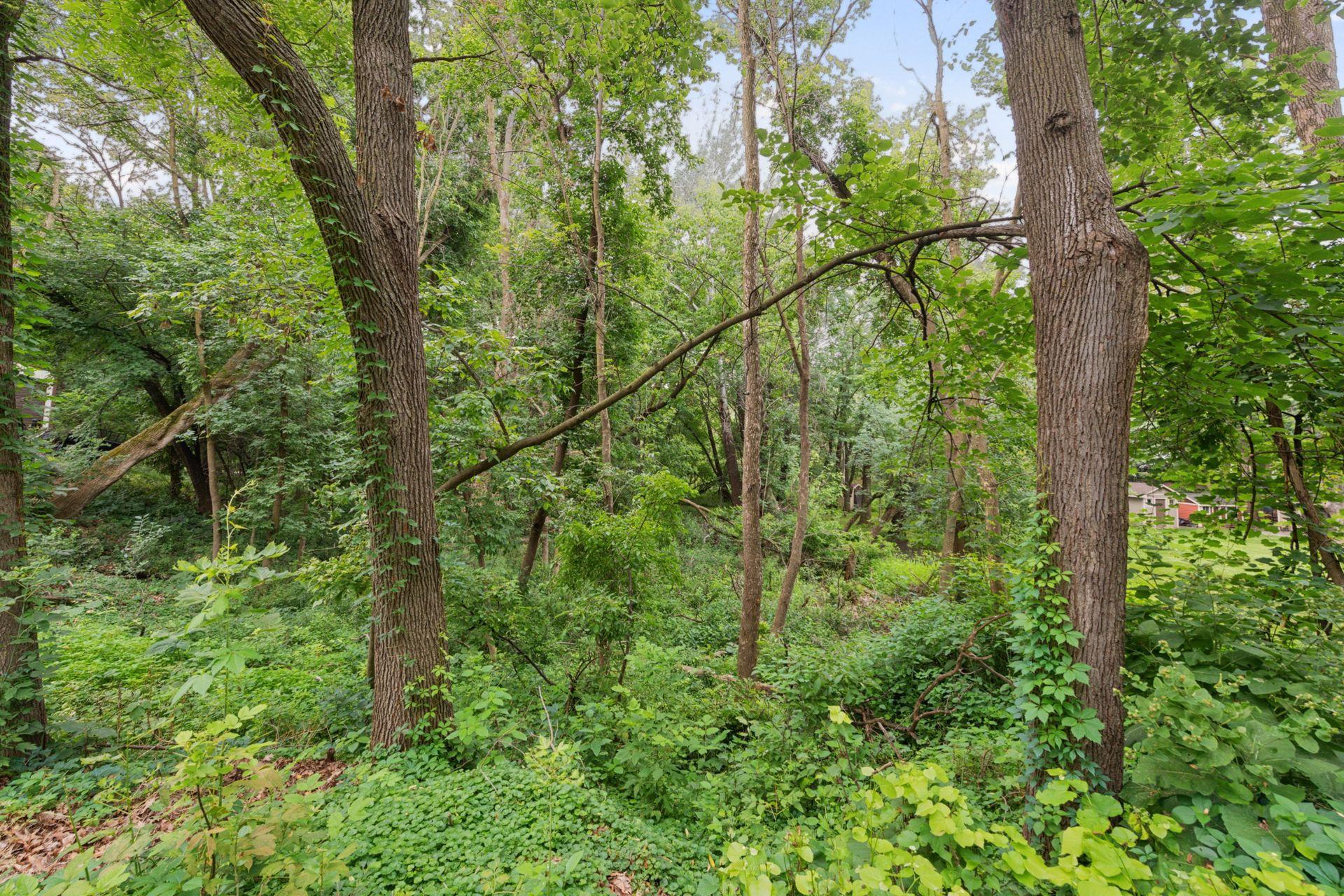 View of Land at 000 Park Drive, Orono MN 55364, Orono (14 of 15) - Mike Wilen | Minnesota Team Real Estate