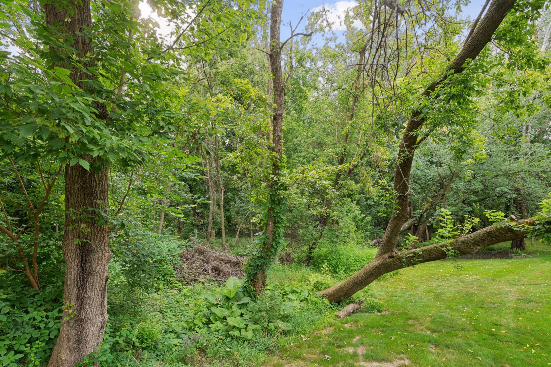 View of Land at 000 Park Drive, Orono MN 55364, Orono (13 of 15) - Mike Wilen | Minnesota Team Real Estate