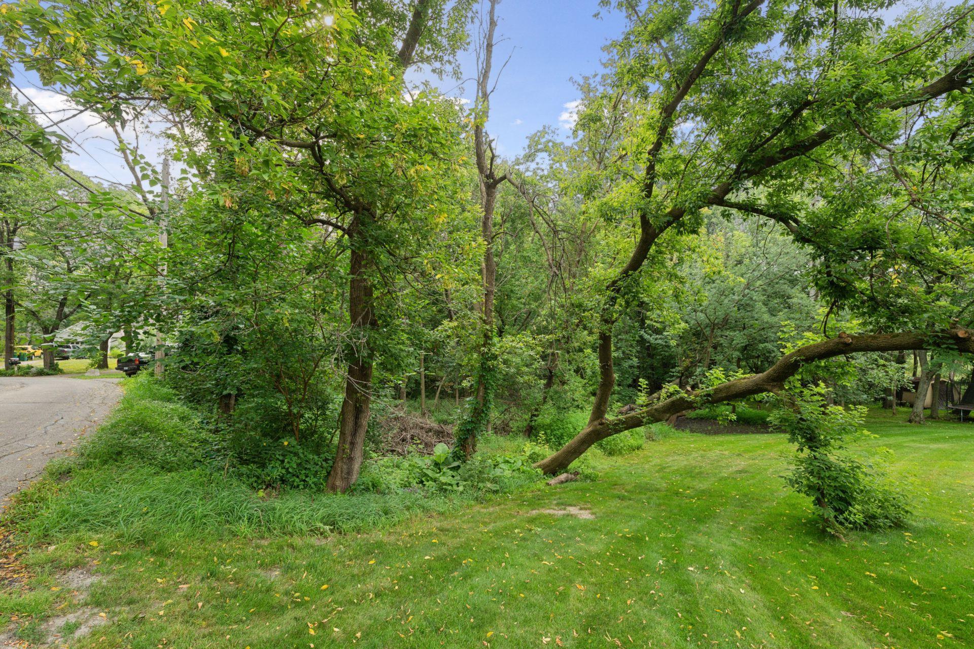 View of Land at 000 Park Drive, Orono MN 55364, Orono (12 of 15) - Mike Wilen | Minnesota Team Real Estate