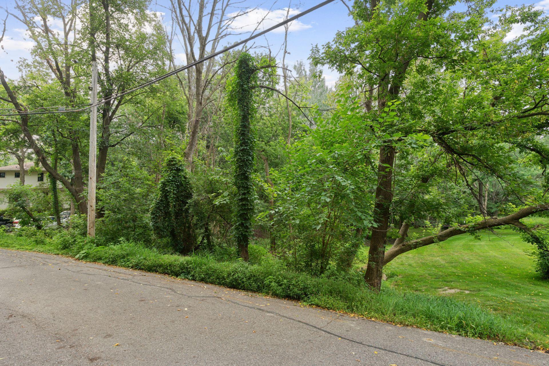 View of Land at 000 Park Drive, Orono MN 55364, Orono (8 of 15) - Mike Wilen | Minnesota Team Real Estate