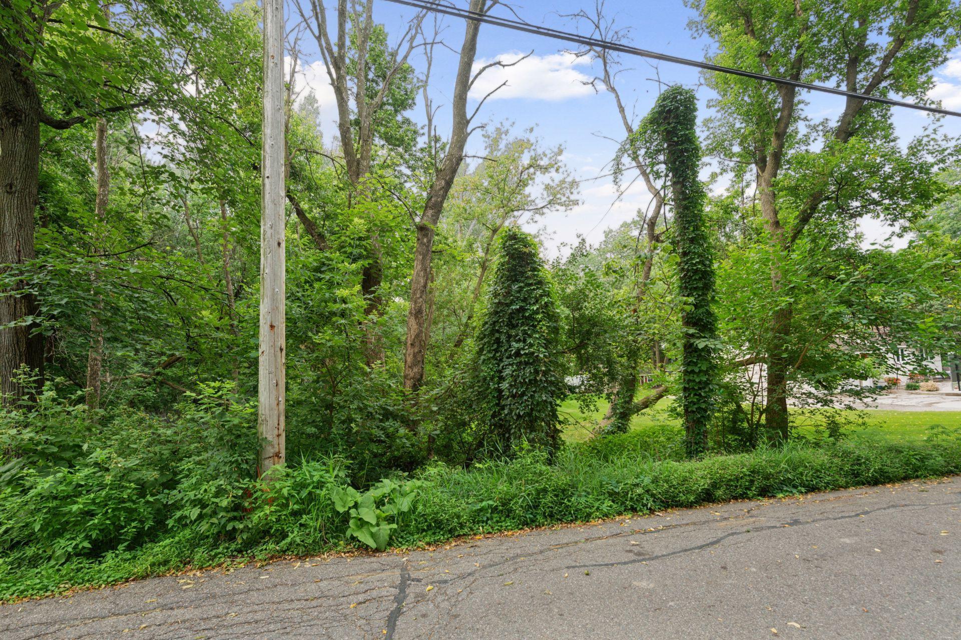 View of Land at 000 Park Drive, Orono MN 55364, Orono (7 of 15) - Mike Wilen | Minnesota Team Real Estate