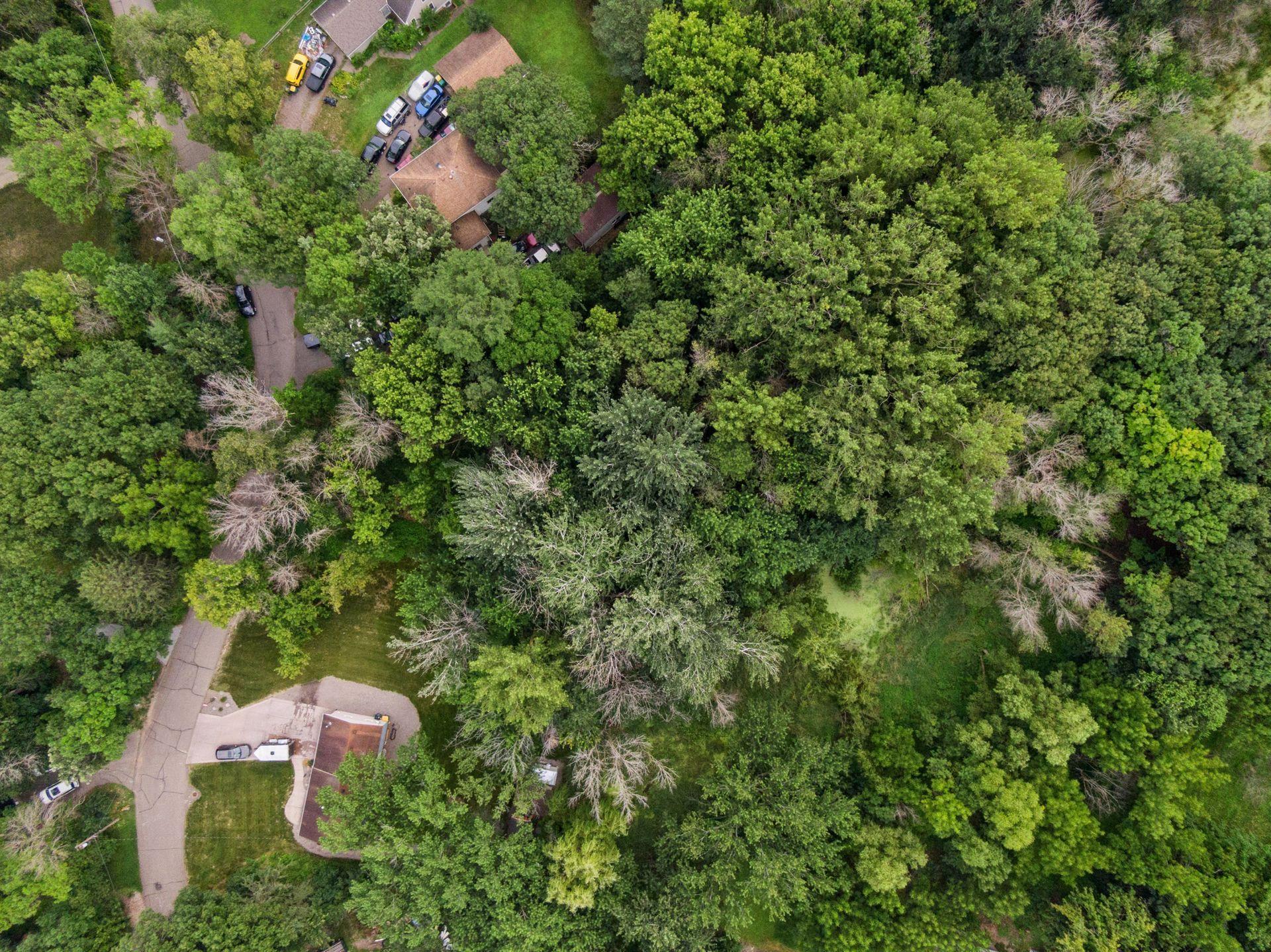 View of Land at 000 Park Drive, Orono MN 55364, Orono (2 of 15) - Mike Wilen | Minnesota Team Real Estate