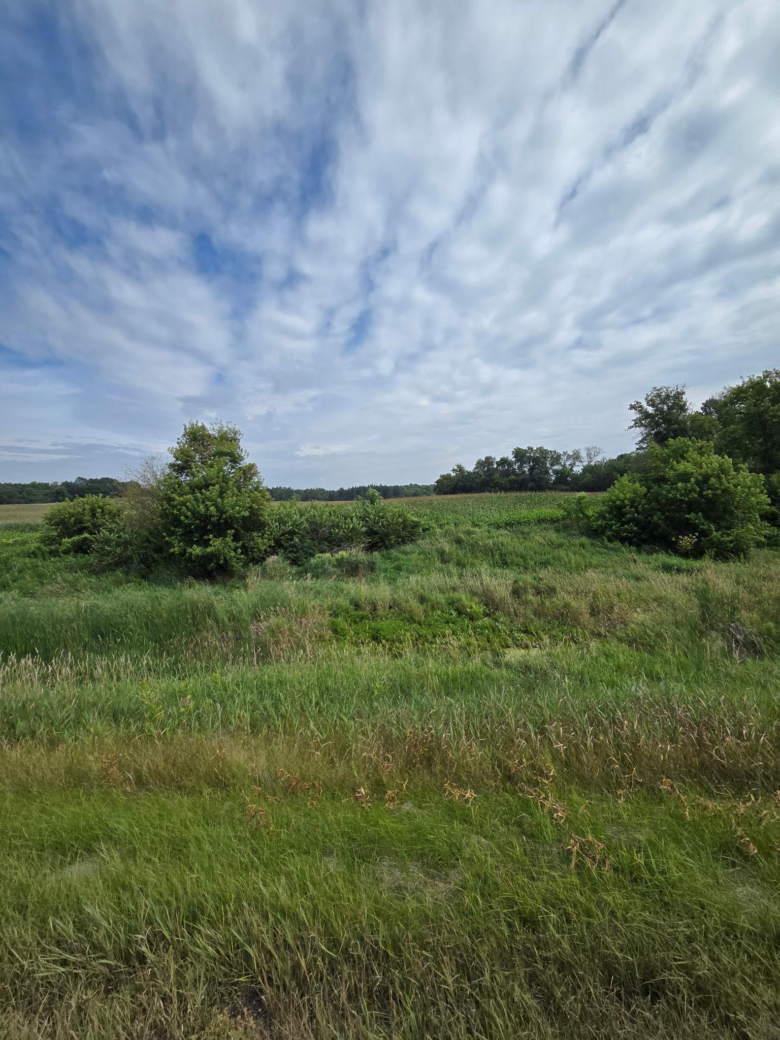 View of Land at TBD Lake Blvd, Shafer MN 55074, Shafer (10 of 11) - Mike Wilen | Minnesota Team Real Estate
