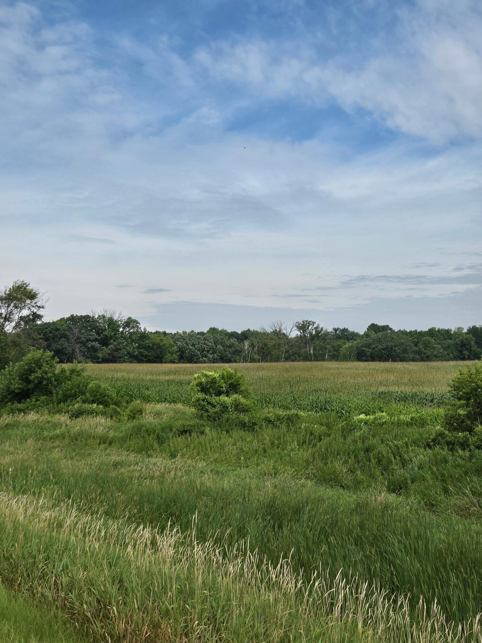 View of Land at TBD Lake Blvd, Shafer MN 55074, Shafer (8 of 11) - Mike Wilen | Minnesota Team Real Estate
