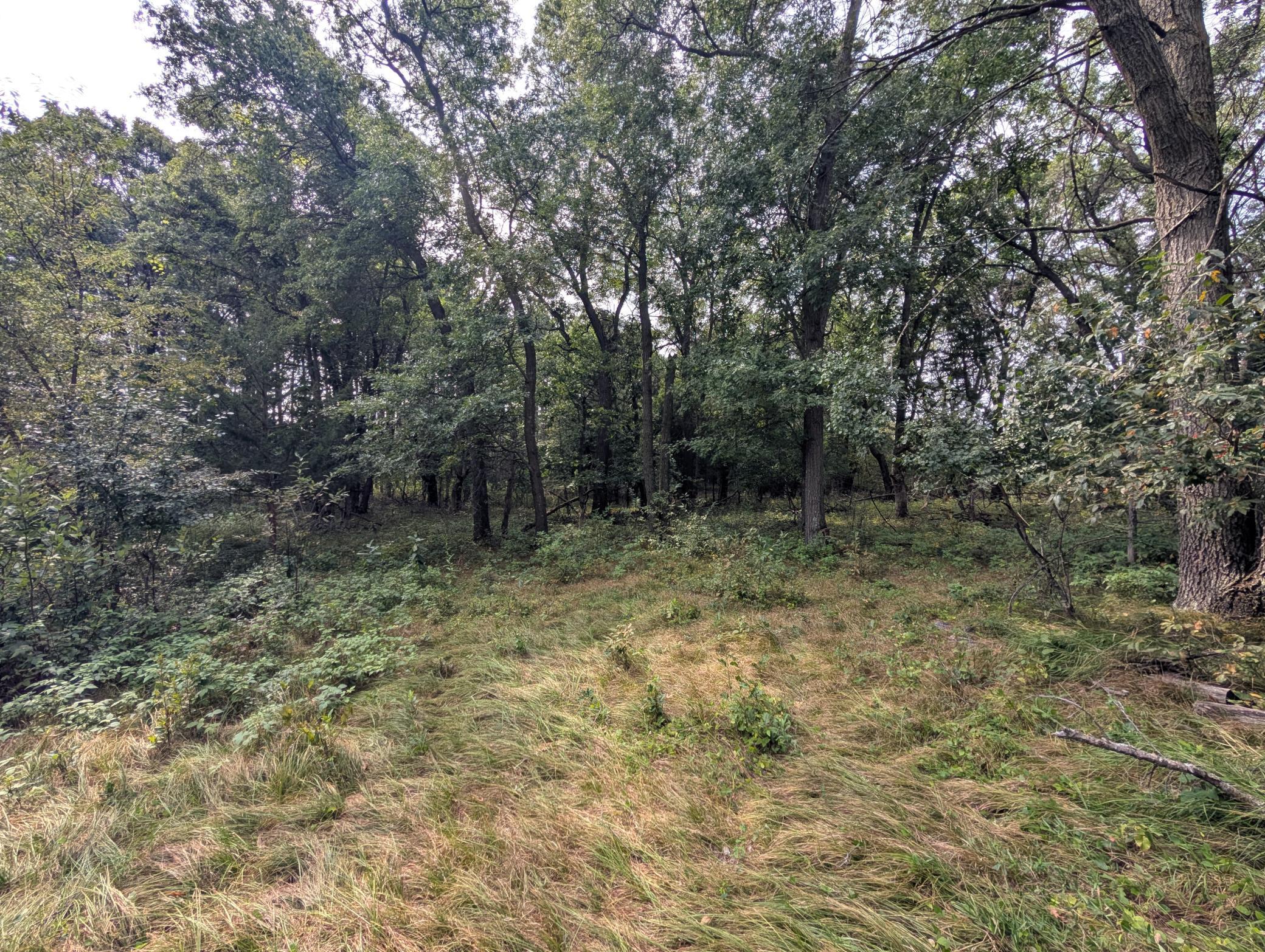 View of Land at 21628 Joplin Street, Elk River MN 55330, Elk River (25 of 28) - Mike Wilen | Minnesota Team Real Estate