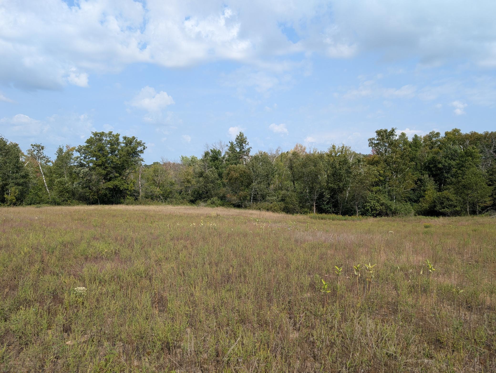 View of Land at 21628 Joplin Street, Elk River MN 55330, Elk River (22 of 28) - Mike Wilen | Minnesota Team Real Estate