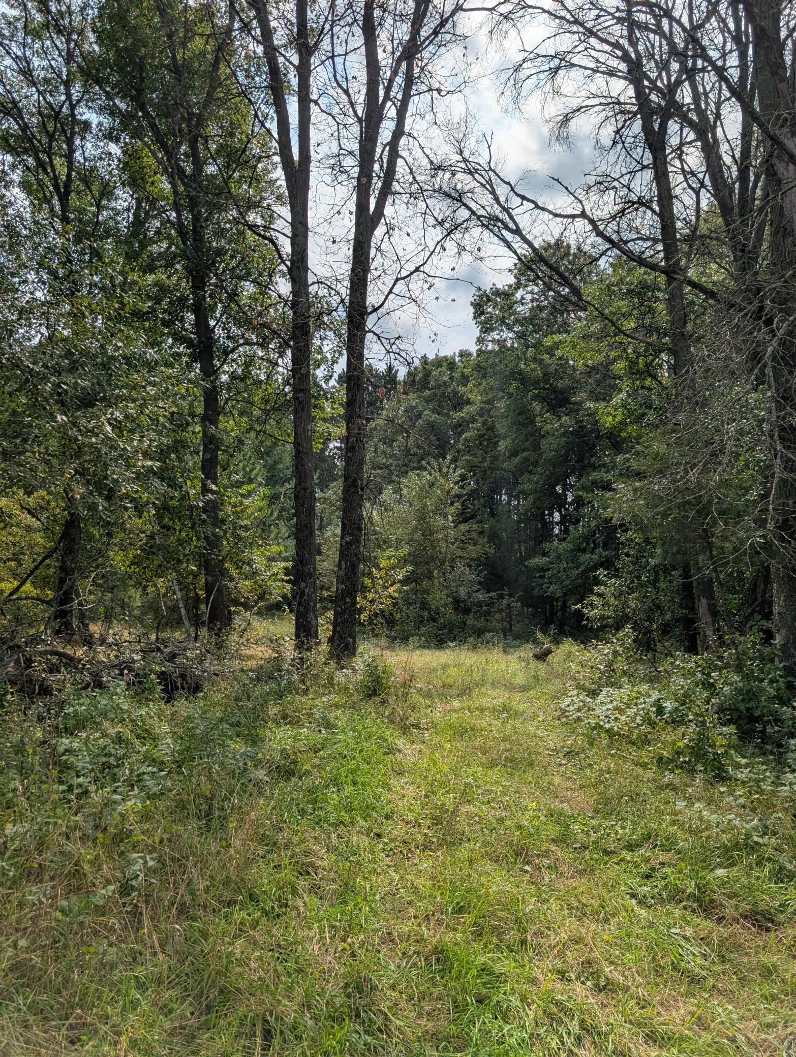 View of Land at 21628 Joplin Street, Elk River MN 55330, Elk River (16 of 28) - Mike Wilen | Minnesota Team Real Estate