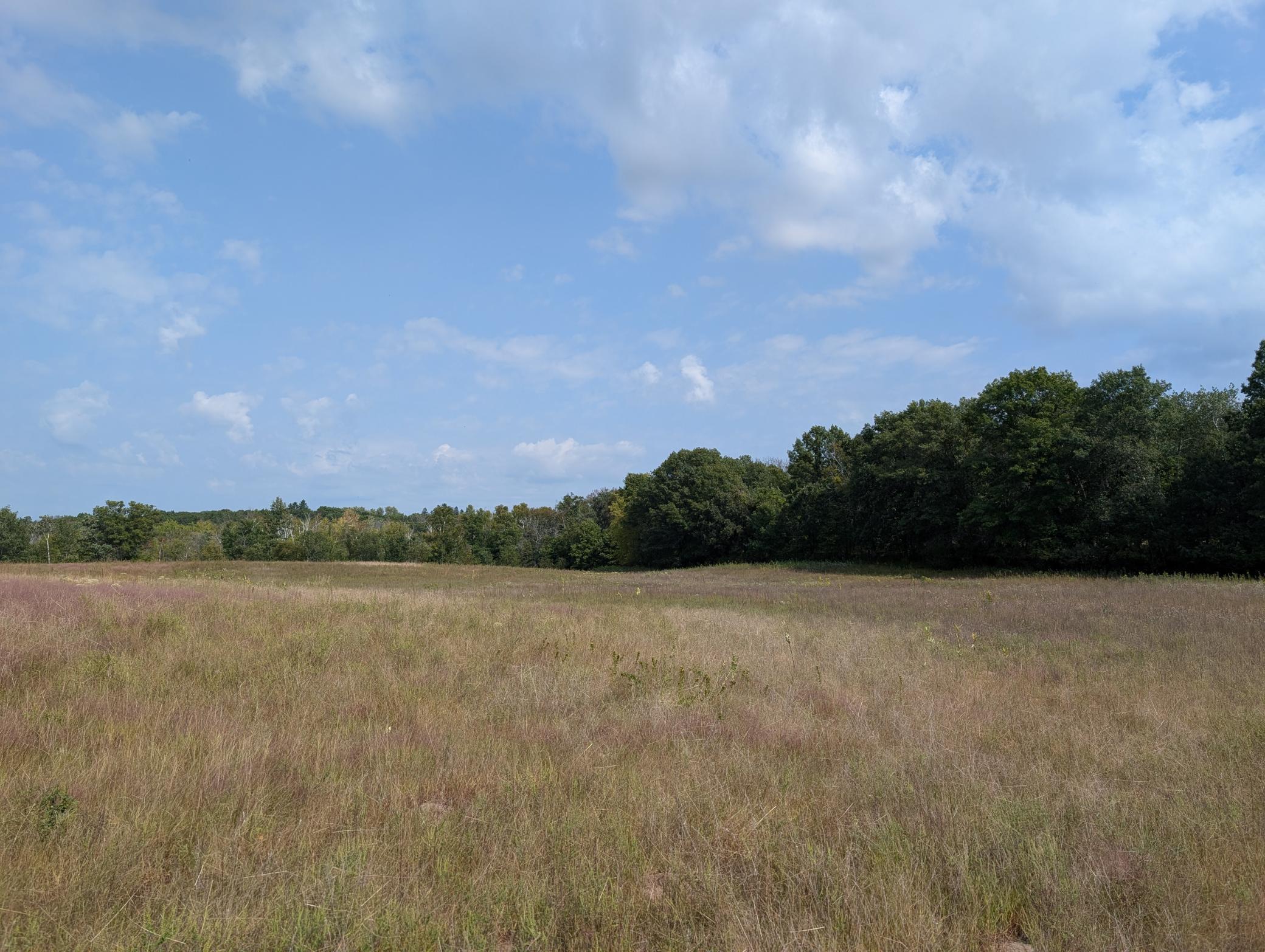 View of Land at 21628 Joplin Street, Elk River MN 55330, Elk River (12 of 28) - Mike Wilen | Minnesota Team Real Estate
