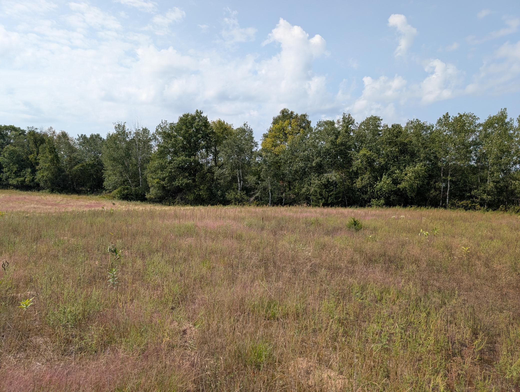 View of Land at 21553 Joplin Street, Elk River MN 55330, Elk River (20 of 27) - Mike Wilen | Minnesota Team Real Estate