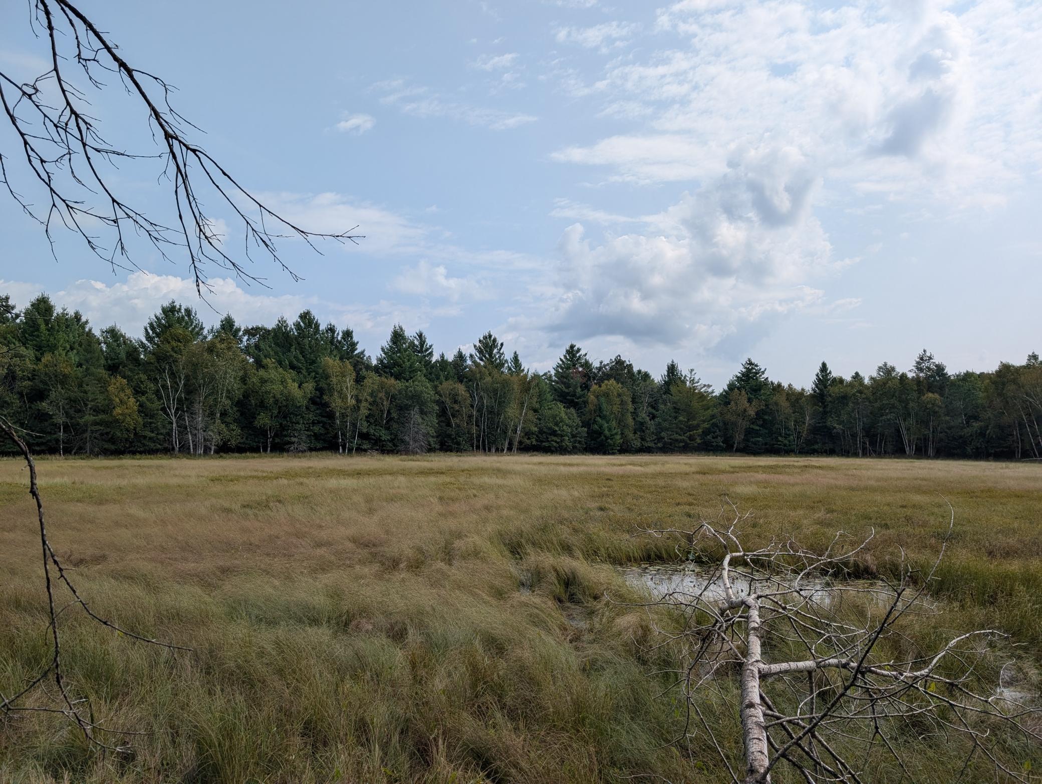 View of Land at 21553 Joplin Street, Elk River MN 55330, Elk River (17 of 27) - Mike Wilen | Minnesota Team Real Estate