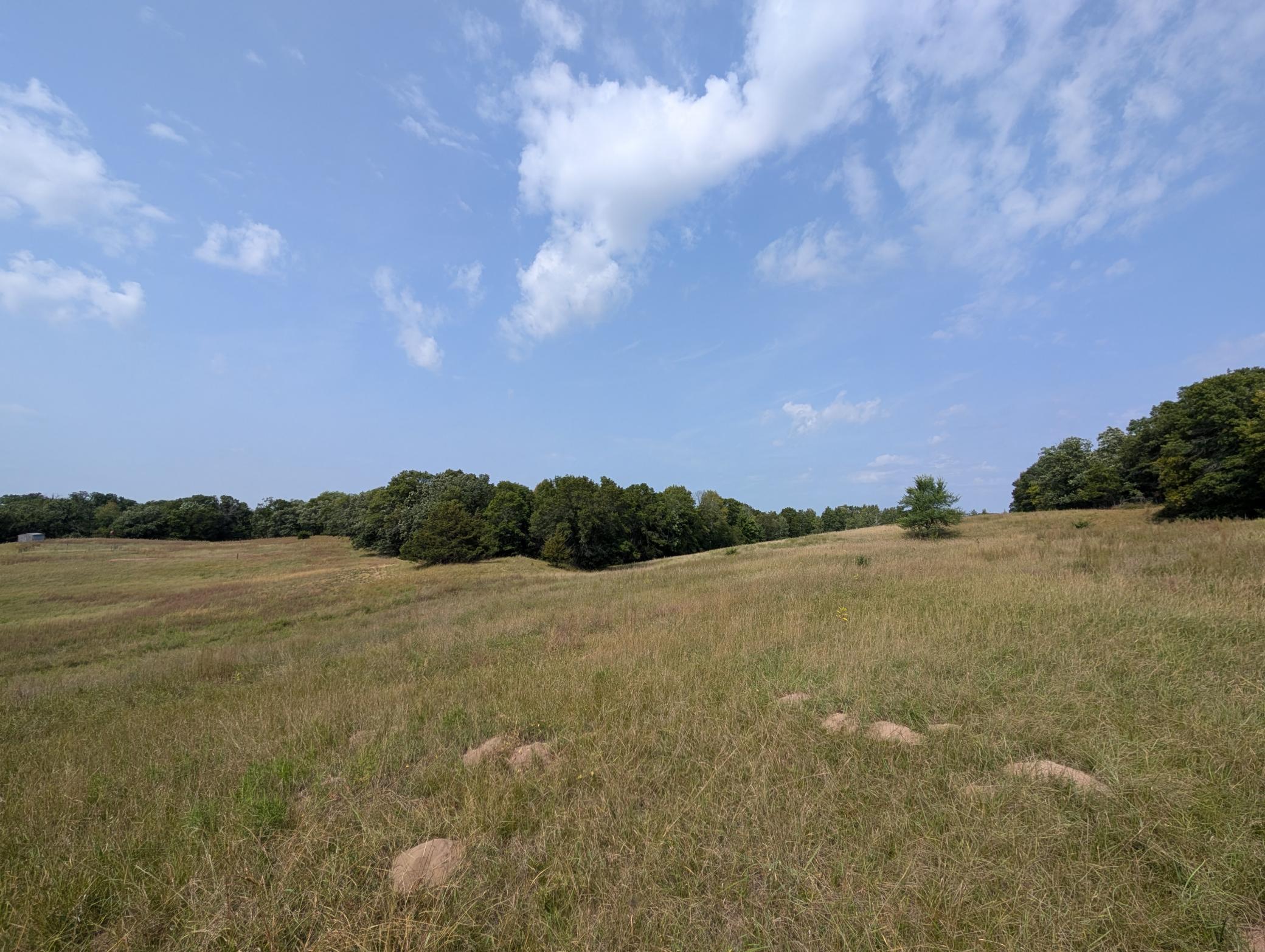 View of Land at 21553 Joplin Street, Elk River MN 55330, Elk River (8 of 27) - Mike Wilen | Minnesota Team Real Estate