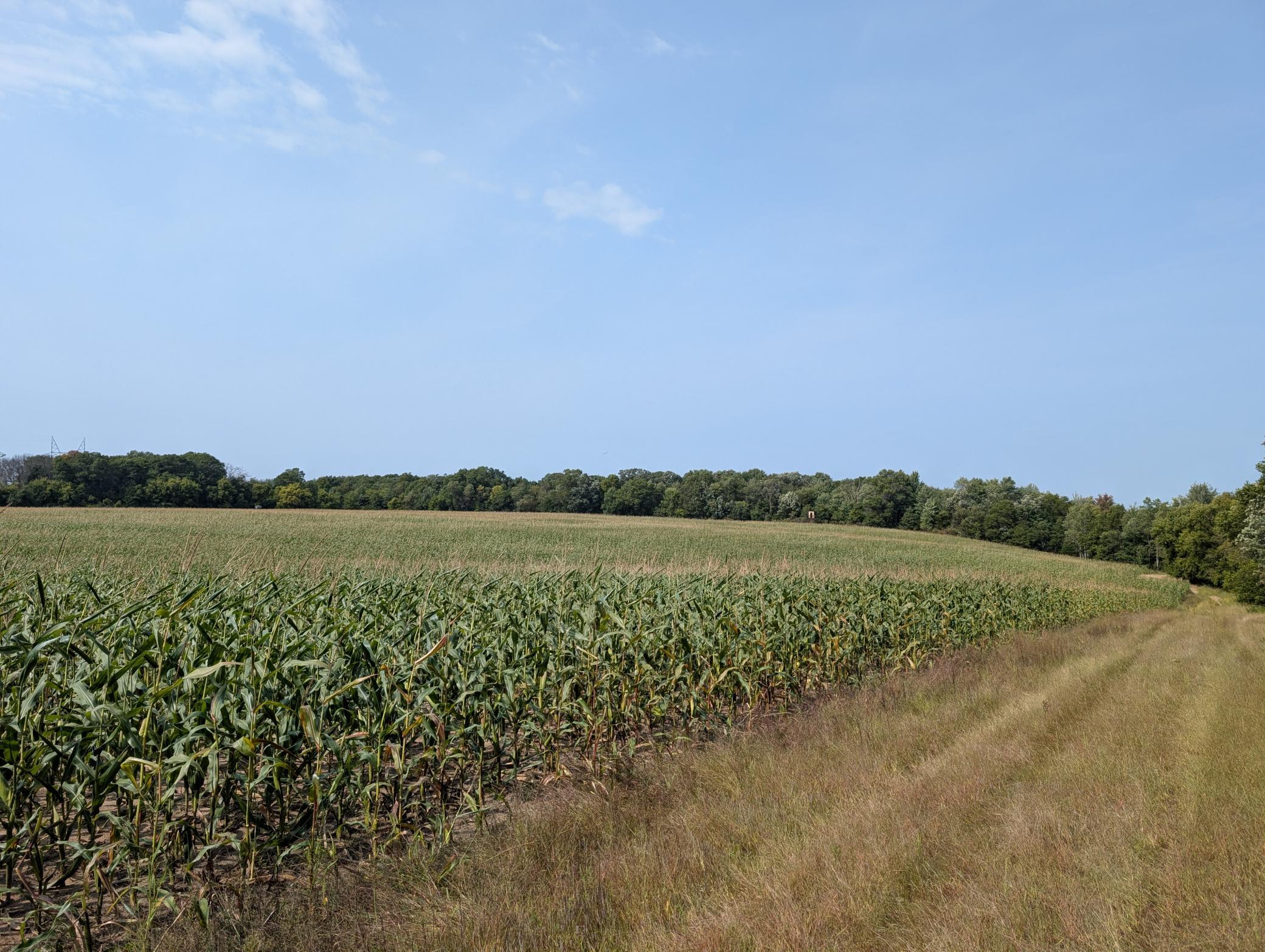 View of Land at 21553 Joplin Street, Elk River MN 55330, Elk River (27 of 27) - Mike Wilen | Minnesota Team Real Estate