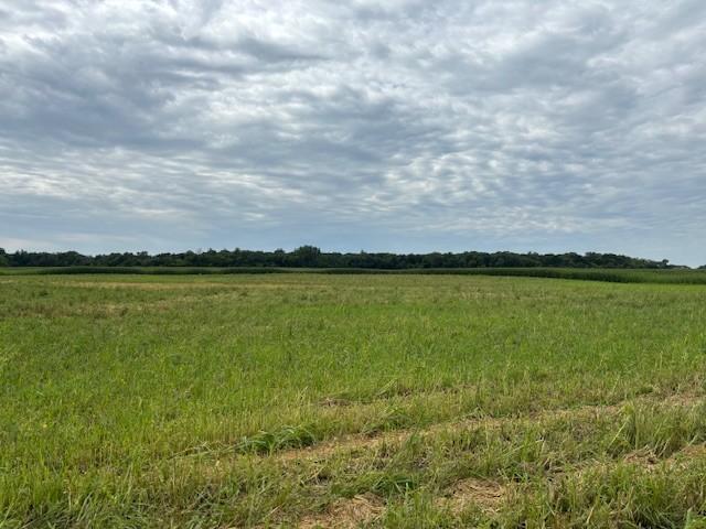 View of Land at XXXX County Rd 30 SW Tract A, Montrose MN 55363, Montrose - Mike Wilen | Minnesota Team Real Estate