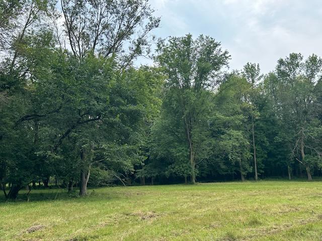 View of Land at 319XX-12 Lakes Trail, Lindstrom MN 55045, Lindstrom - Mike Wilen | Minnesota Team Real Estate