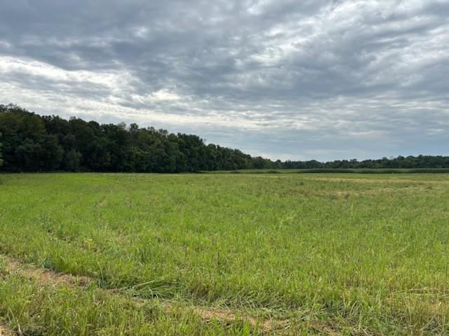 View of Land at XXXX County Rd 30 SW Tract B, Montrose MN 55363, Montrose - Mike Wilen | Minnesota Team Real Estate