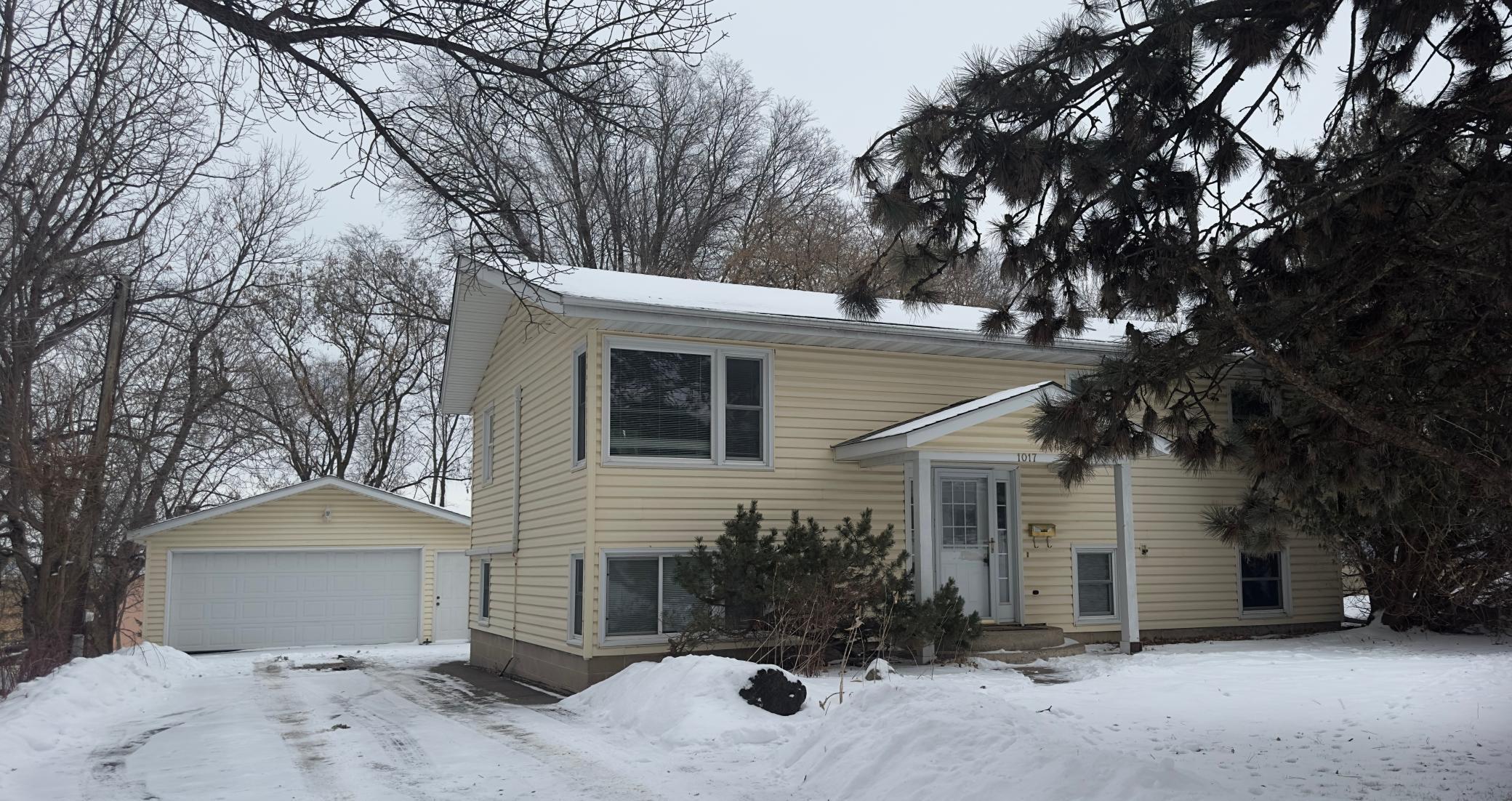 View of Residential at 1017 Bailley Street, Hastings MN 55033, Hastings - Mike Wilen | Minnesota Team Real Estate
