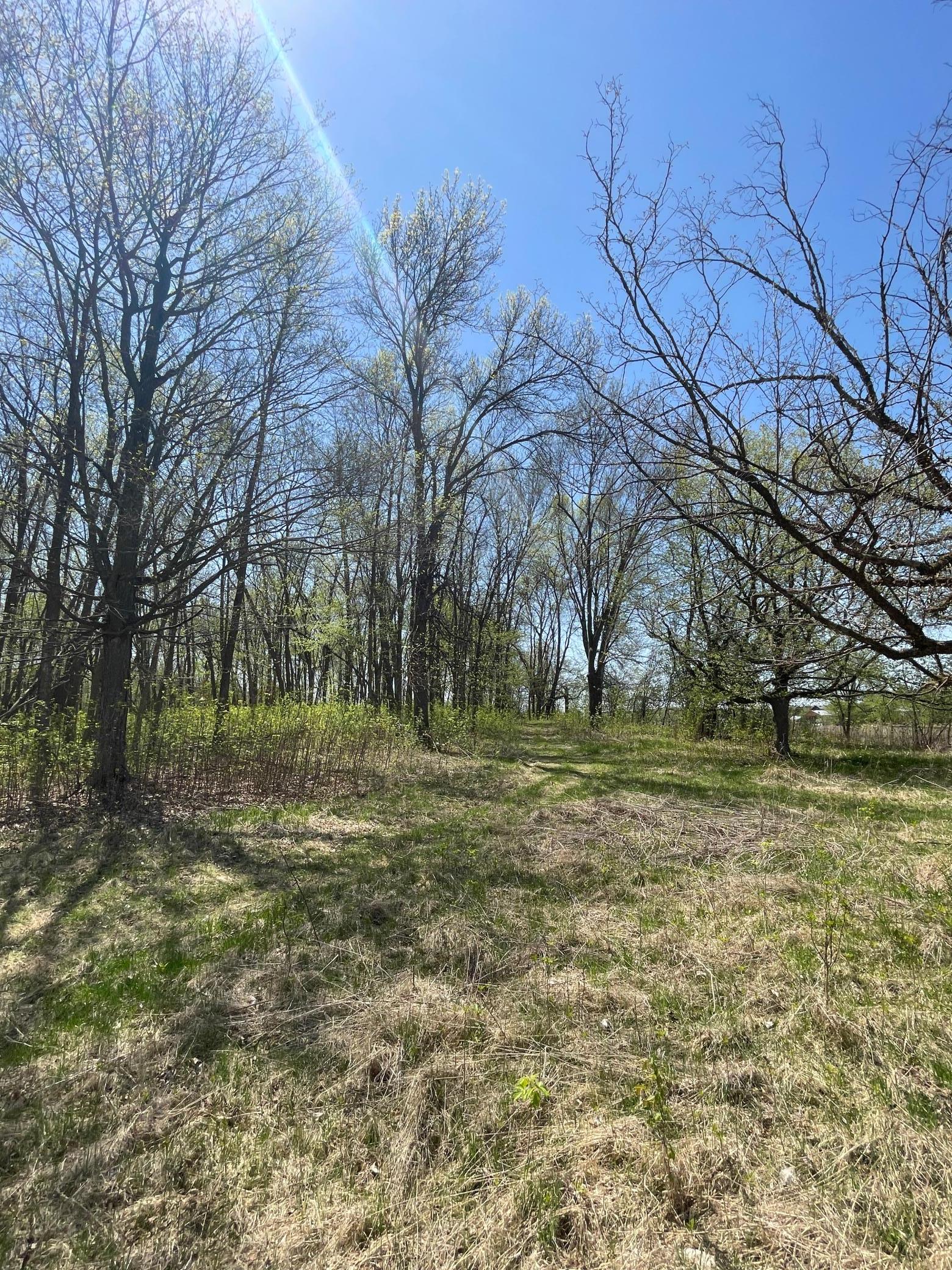 View of Land at TBD Stark Road, Harris MN 55032, Harris - Mike Wilen | Minnesota Team Real Estate