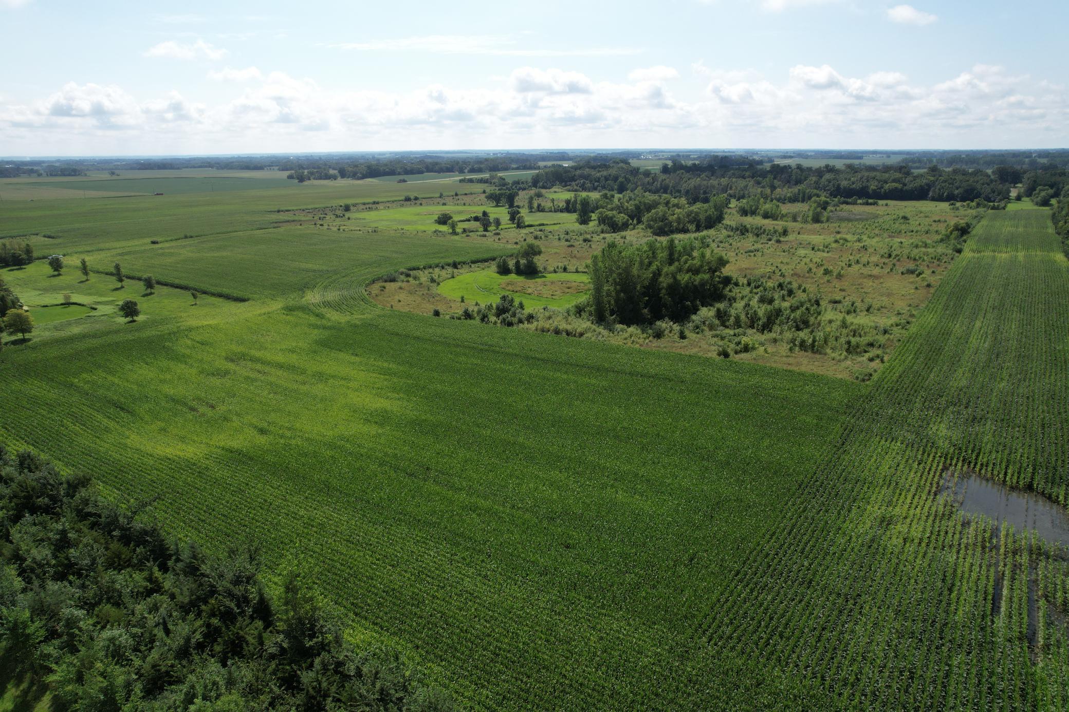 View of Land at 10xxx County Road 50, Cologne MN 55322, Cologne (30 of 30) - Mike Wilen | Minnesota Team Real Estate