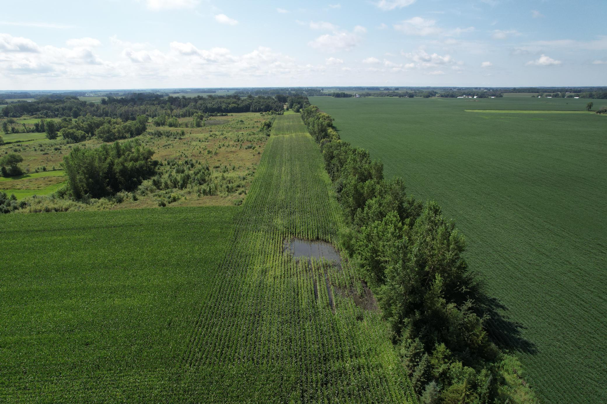 View of Land at 10xxx County Road 50, Cologne MN 55322, Cologne (29 of 30) - Mike Wilen | Minnesota Team Real Estate