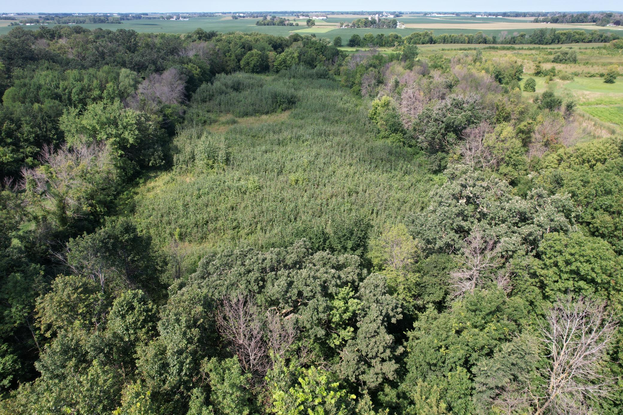 View of Land at 10xxx County Road 50, Cologne MN 55322, Cologne (26 of 30) - Mike Wilen | Minnesota Team Real Estate
